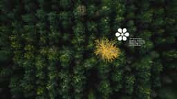 Brand Identity for Tátil Design's 30th Anniversary - thumbnail 7