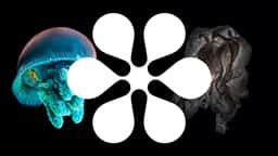 Brand Identity for Tátil Design's 30th Anniversary - thumbnail 8