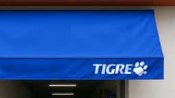 Brand Identity for Tigre and Grupo Tigre - thumbnail 2