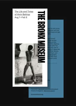 Brand Identity for the Bronx Museum - thumbnail 4