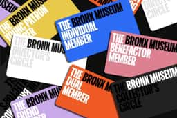 Brand Identity for the Bronx Museum - thumbnail 6