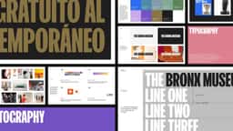 Brand Identity for the Bronx Museum - thumbnail 8