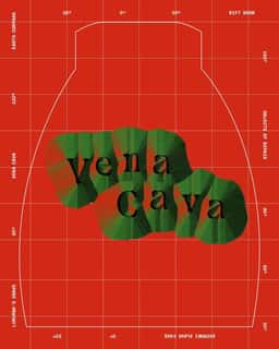 Visual Identity and Campaign for the British Pavilion at Venice Biennale Arch25 - thumbnail 9