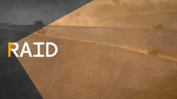Visual Identity for Corporate Watchdog RAID - thumbnail 2