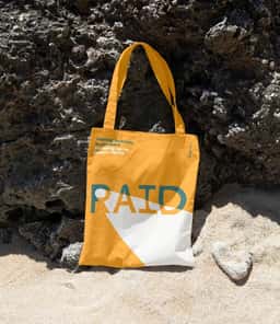 Visual Identity for Corporate Watchdog RAID - thumbnail 6