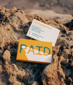 Visual Identity for Corporate Watchdog RAID - thumbnail 7