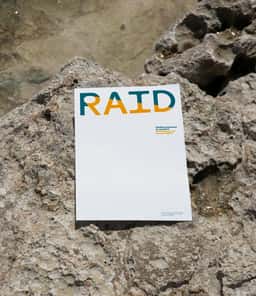 Visual Identity for Corporate Watchdog RAID - thumbnail 8