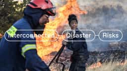 Visual Identity for United Nations University's Interconnected Disaster Risks Research - thumbnail 2
