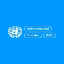 Visual Identity for United Nations University's Interconnected Disaster Risks Research - thumbnail 4