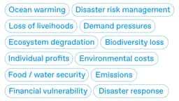 Visual Identity for United Nations University's Interconnected Disaster Risks Research - thumbnail 5