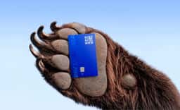 Brand Identity for Pay in Russia - thumbnail 4