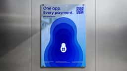 Brand Identity for Pay in Russia - thumbnail 7