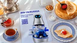 Brand Identity for Pay in Russia - thumbnail 8