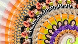 Brand Identity for a Curly Hair Festival - thumbnail 15