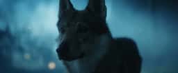 Untitled Case - thumbnail 2
