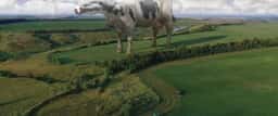 Advertising for EcoNiva Milk - thumbnail 7