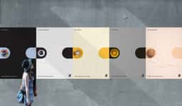 Brand Identity for Anybe Career Exploration Platform - thumbnail 5