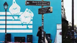 Brand Identity for Gingerbird Urban Backpacks - thumbnail 2