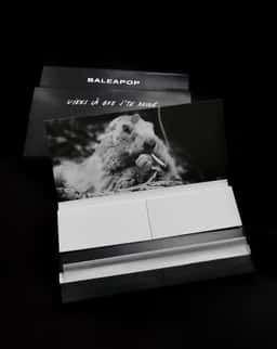 Visual Identity for Baleapop 9 Music Festival - thumbnail 6