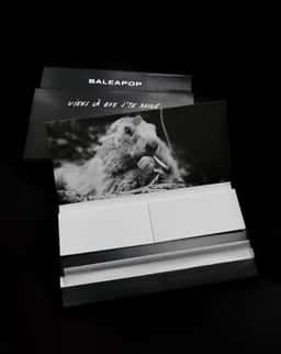 Visual Identity for Baleapop 9 Music Festival - thumbnail 7
