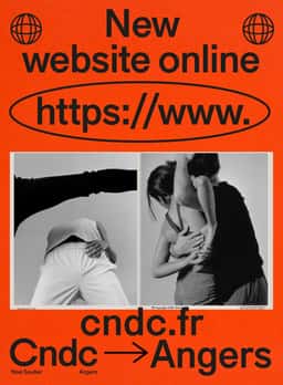 Art Direction and Identity for CNDC-Angers - thumbnail 2