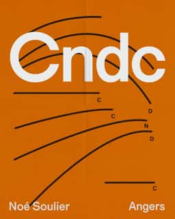 Art Direction and Identity for CNDC-Angers - thumbnail 8
