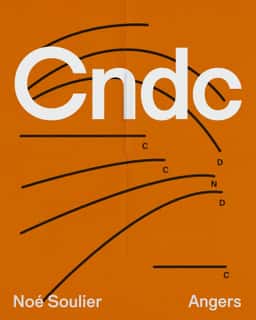 Art Direction and Identity for CNDC-Angers - thumbnail 9