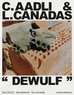 Art Direction for Dewulf - thumbnail 2