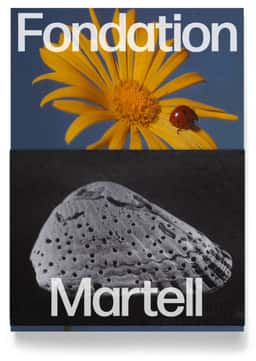 Visual Identity and Image Art Direction for the Martell Foundation - thumbnail 6