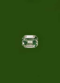Art Direction for Maison Piat - thumbnail 6