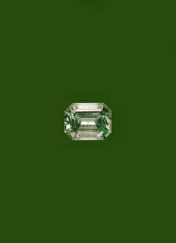 Art Direction for Maison Piat - thumbnail 7