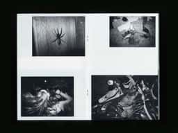 Book Design for Olivier Metzger - thumbnail 6