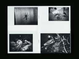 Book Design for Olivier Metzger - thumbnail 7