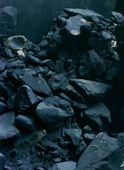 Art Direction for Sougland Foundries - thumbnail 4