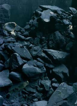 Art Direction for Sougland Foundries - thumbnail 5