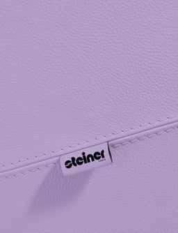 Logo Design for Steiner - thumbnail 3