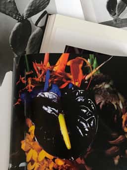Art Direction for Studio Esther Loonen - thumbnail 5