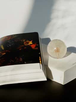 Art Direction for Studio Esther Loonen - thumbnail 8