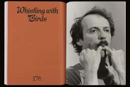 Art Direction for Whistling with Birds - thumbnail 6