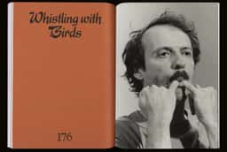 Art Direction for Whistling with Birds - thumbnail 7
