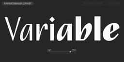 A script typeface update for multilingual editorial and packaging use - thumbnail 7
