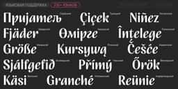 A script typeface update for multilingual editorial and packaging use - thumbnail 9