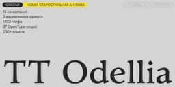 Typeface Design for TypeType - thumbnail 3