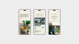 Website Redesign for the Salad Project - thumbnail 7