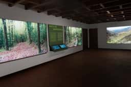 Exhibition Design for Serra Do Açor Protected Landscape - thumbnail 6