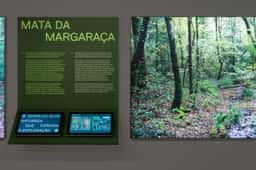 Exhibition Design for Serra Do Açor Protected Landscape - thumbnail 8