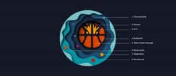 Visual identity for the FIBA Women’s Basketball World Cup 2018 - thumbnail 3