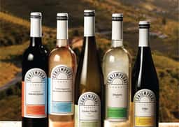Packaging System for Contemporal Wines - thumbnail 2