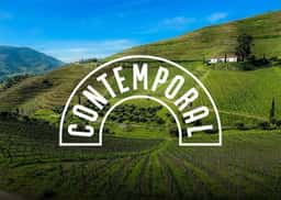 Packaging System for Contemporal Wines - thumbnail 7