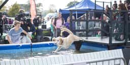 Pet Show Campaign for MORE TH>N - thumbnail 4
